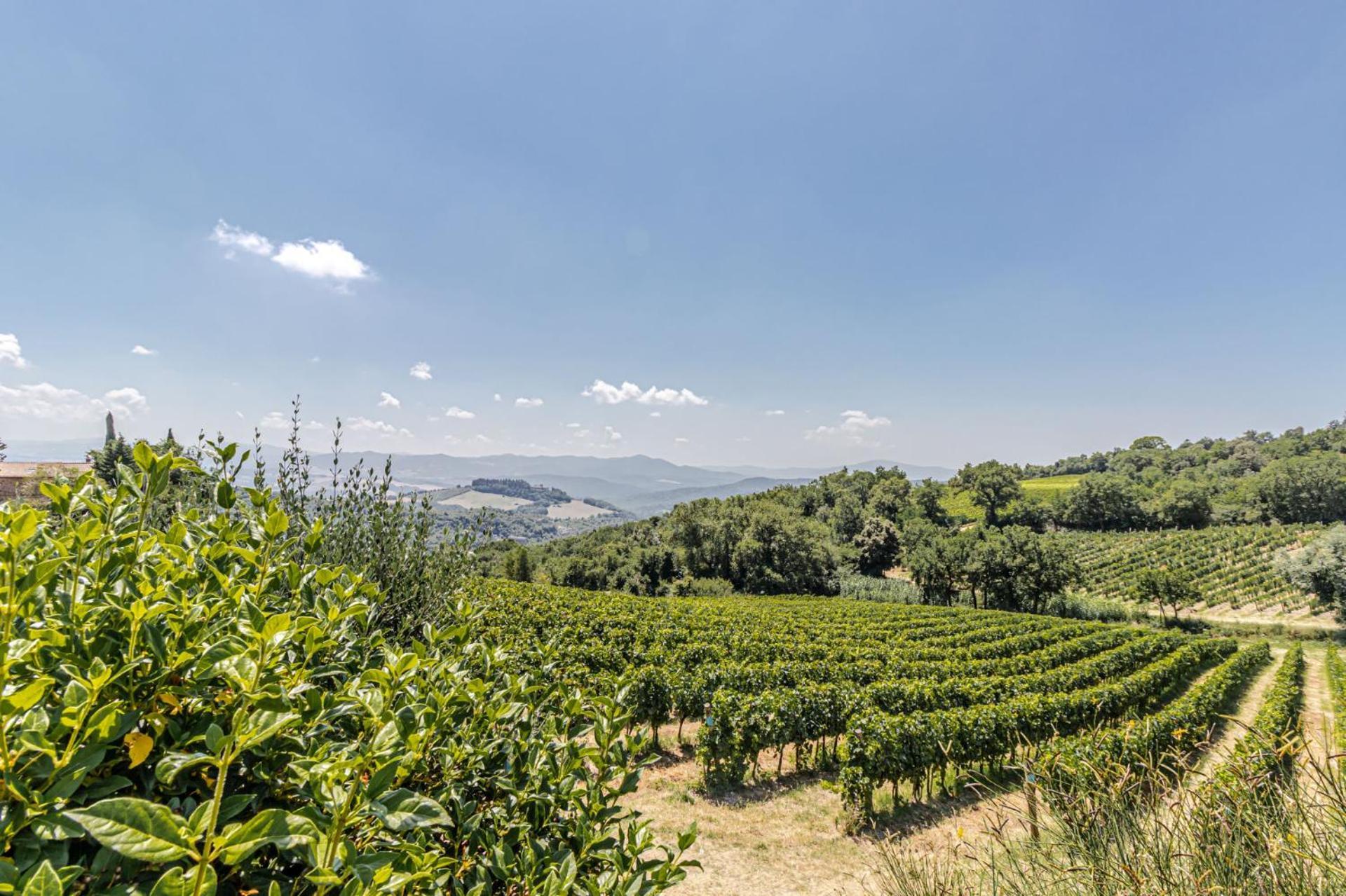 Chateau La Siroque Montecatini Val di Cecina Exteriér fotografie